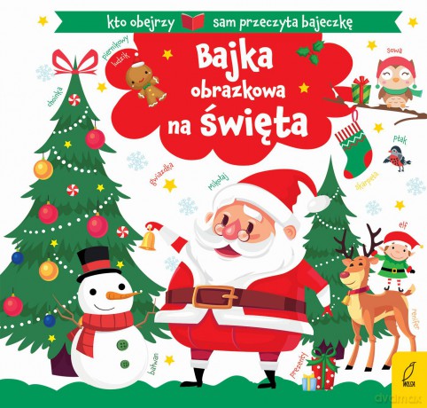 Piktogramy. Bajka obrazkowa na święta [KSIĄŻKA]