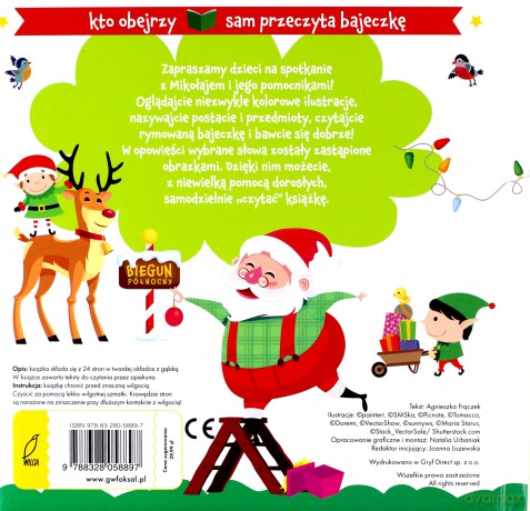 Piktogramy. Bajka obrazkowa na święta [KSIĄŻKA]