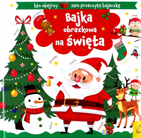 Piktogramy. Bajka obrazkowa na święta [KSIĄŻKA]