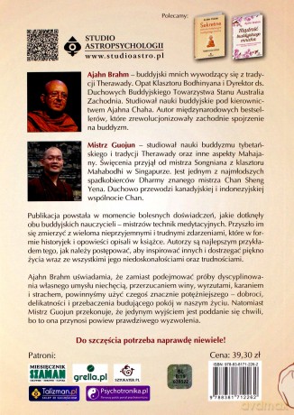 Przypowieści buddyjskie dla każdego. Nagłe kopnięcie prawdziwego szczęścia i mądrości - Ajahn Brahm, Mistrz Guojun [KSIĄŻKA]
