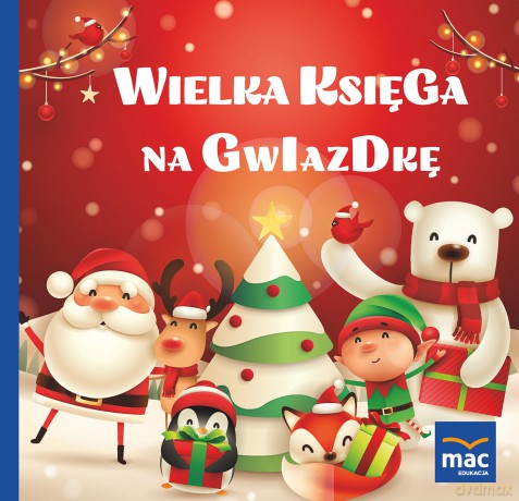 Wielka księga na gwiazdkę - Magdalena Marczewska [KSIĄŻKA]