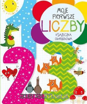 Mój pierwszy alfabet. Słowniczek obrazkowy [KSIĄŻKA]