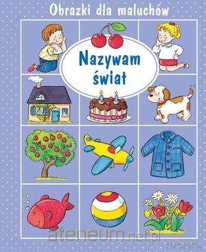 Obrazki dla maluchów. Nazywam świat - Emilie Beaumont, Sylvie Michelet [KSIĄŻKA]