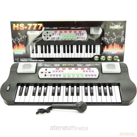 Organy elektroniczne + mikrofon