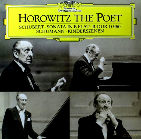 Vladimir Horowitz: Horowitz The Poet [Winyl]
