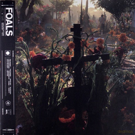 Foals: Everything Not Saved Will Be Lost Part 2 [Winyl]