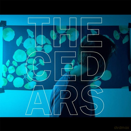 John Vanderslice: The Cedars [Winyl]
