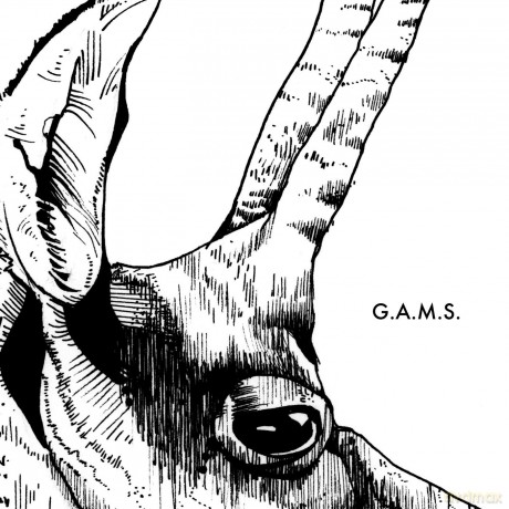G.A.M.S.: G.A.M.S. [Winyl]