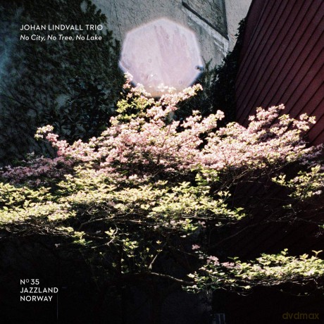 Johan Lindvall Trio: No City. No Trees. No Lake [CD]