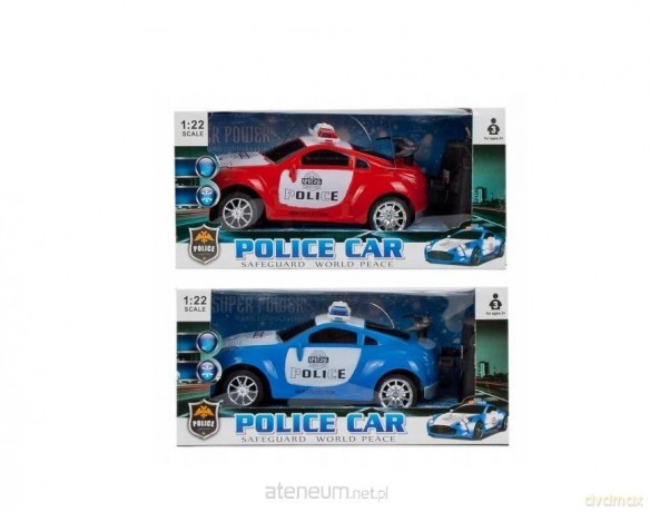 Auto policja