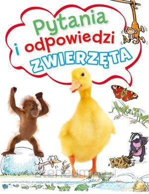 Pytania i odpowiedzi. Zwierzęta [KSIĄŻKA]