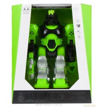 Robot