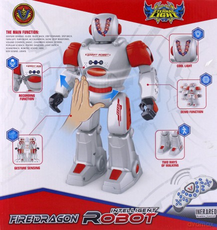 Robot R/C