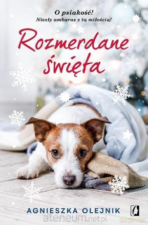 Rozmerdane święta - Agnieszka Olejnik [KSIĄŻKA]