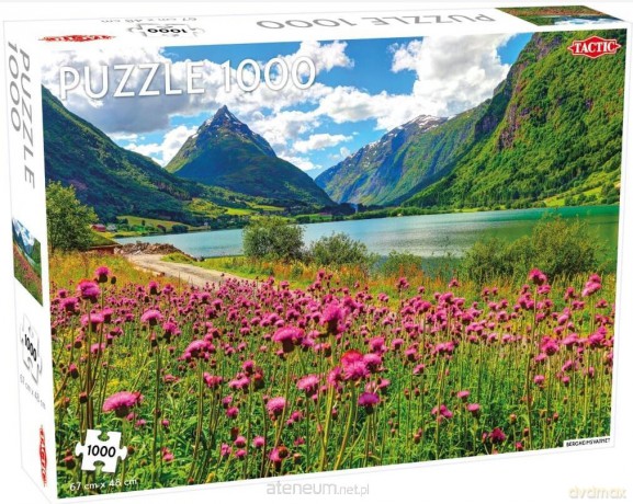 TACTIC 1000 el. Bergsheimsvatnet [PUZZLE]