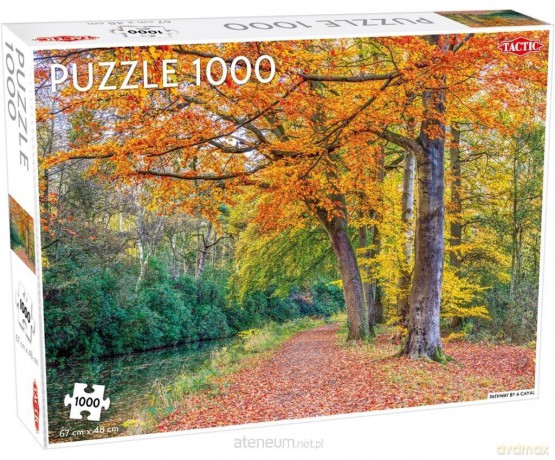 TACTIC 1000 el. Pathway by a canal [PUZZLE]