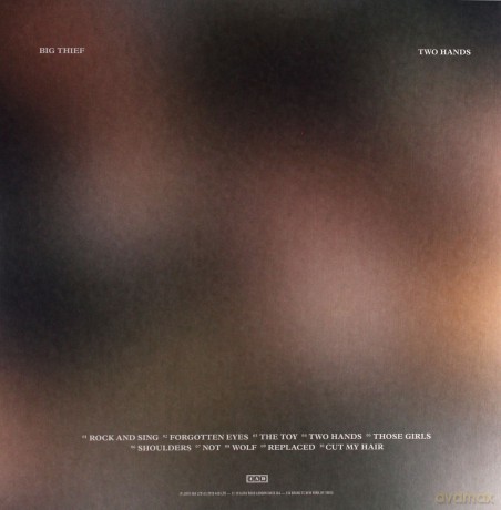 Big Thief: Two Hands (Limited) (Desert Peach) [Winyl]