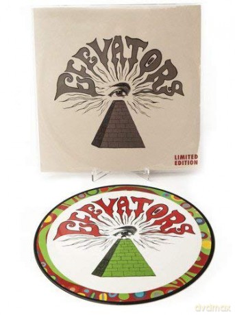 13th Floor Elevators: YouRe Gonna Miss Me [Winyl]