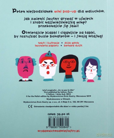 Co to za smutna mina. Pop-up - Elisa Gehin, Bernard Duisit [KSIĄŻKA]
