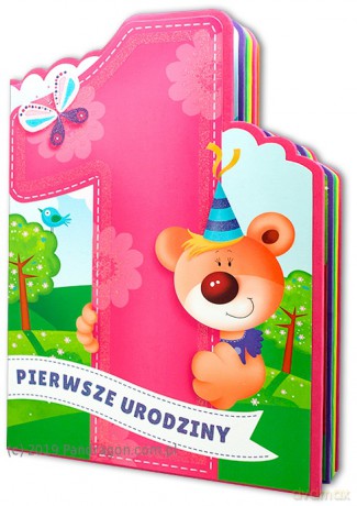Książeczka. Pierwszy rok dziewczynka [KSIĄŻKA]