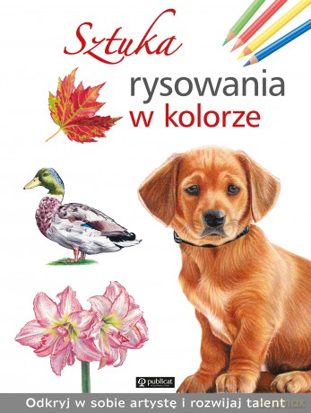 Sztuka rysowania w kolorze [KSIĄŻKA]