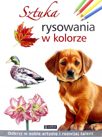 Sztuka rysowania w kolorze [KSIĄŻKA]
