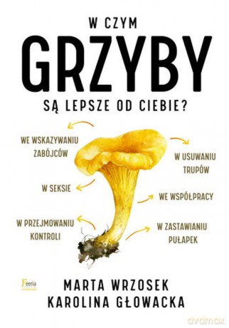 W czym grzyby są lepsze od ciebie - Marta Wrzosek, Karolina Głowacka [KSIĄŻKA]