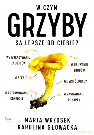W czym grzyby są lepsze od ciebie - Marta Wrzosek, Karolina Głowacka [KSIĄŻKA]