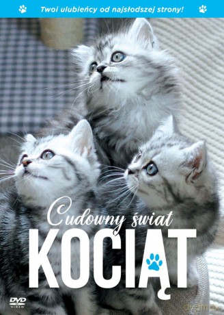 Cudowny świat kociąt [DVD]