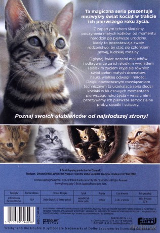 Cudowny świat kociąt [DVD]