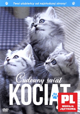 Cudowny świat kociąt [DVD]