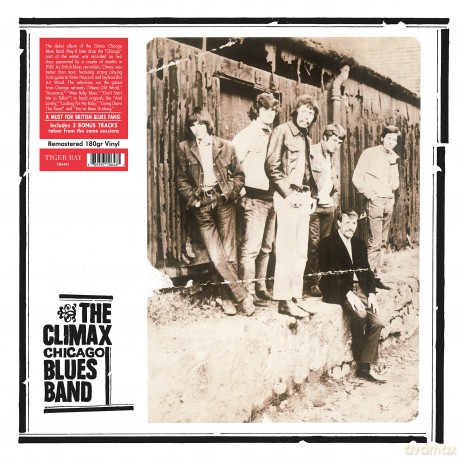 Climax Chicago Blues Band: The Climax Chicago Blues Band [Winyl]