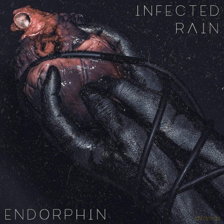 Infected Rain: Endorphin [Winyl]