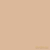 Estee Lauder Pure Color Envy Shadowpaint03 Brash Bronze 4 ml