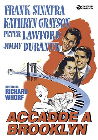 Accadde A Brooklyn [DVD]