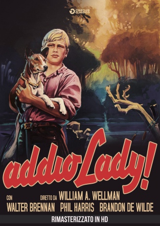Addio Lady! [DVD]