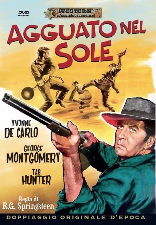 Hostile Guns [DVD]