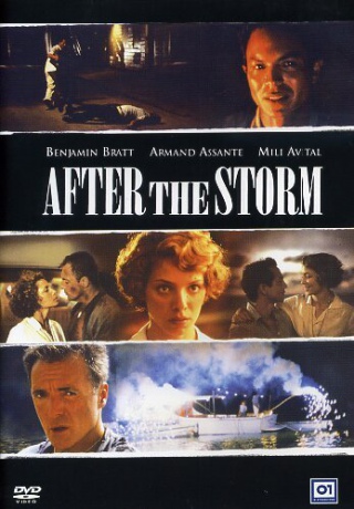 After the Storm (Cisza przed burzą) [DVD]