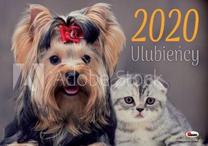 Kalendarz Ulubieńcy 2020 KA3