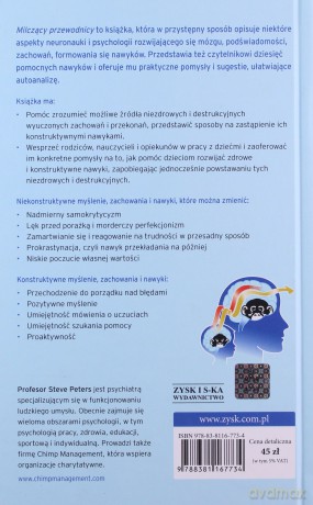 Milczący przewodnicy. Jak rozumieć i doskonalić swój umysł - Steve Peters Prof. [KSIĄŻKA]