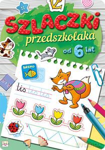 Szlaczki przedszkolaka od 6 lat [KSIĄŻKA]