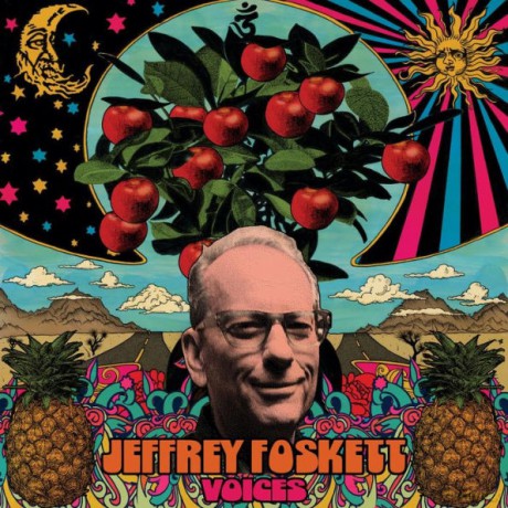 Jeffrey Foskett: Voices [CD]