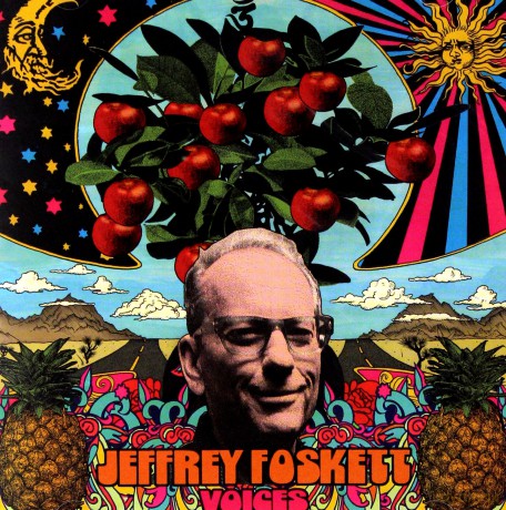 Jeffrey Foskett: Voices [CD]