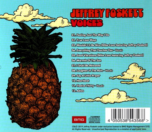 Jeffrey Foskett: Voices [CD]