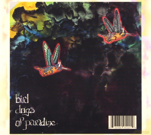 Jaimie Branch: Fly Or Die Ii: Bird Dogs Of Paradise [CD]