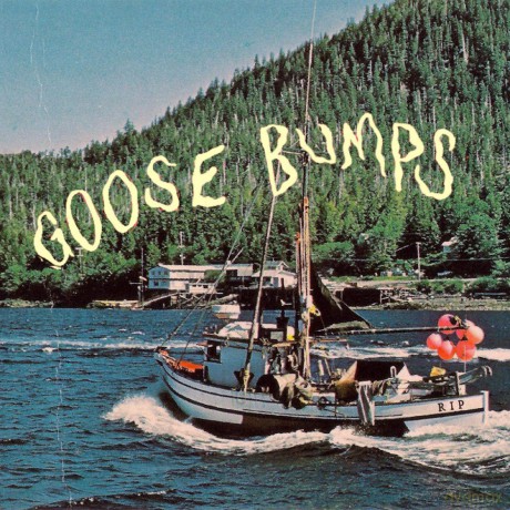 Boyscott: Goose Bumps [CD]