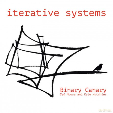 Binary Canary: Iterative Systems [CD]