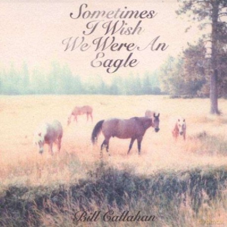 Bill Callahan: Sometimes I Wish We Were An Eagle [Winyl]