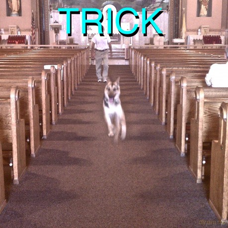 (Sandy) Alex G: Trick [Winyl]