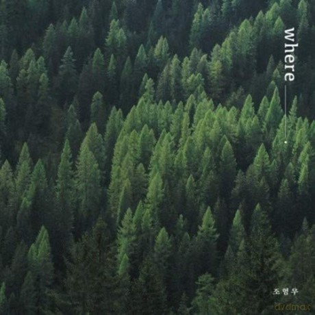 Jo Hyung Woo: Where [CD]